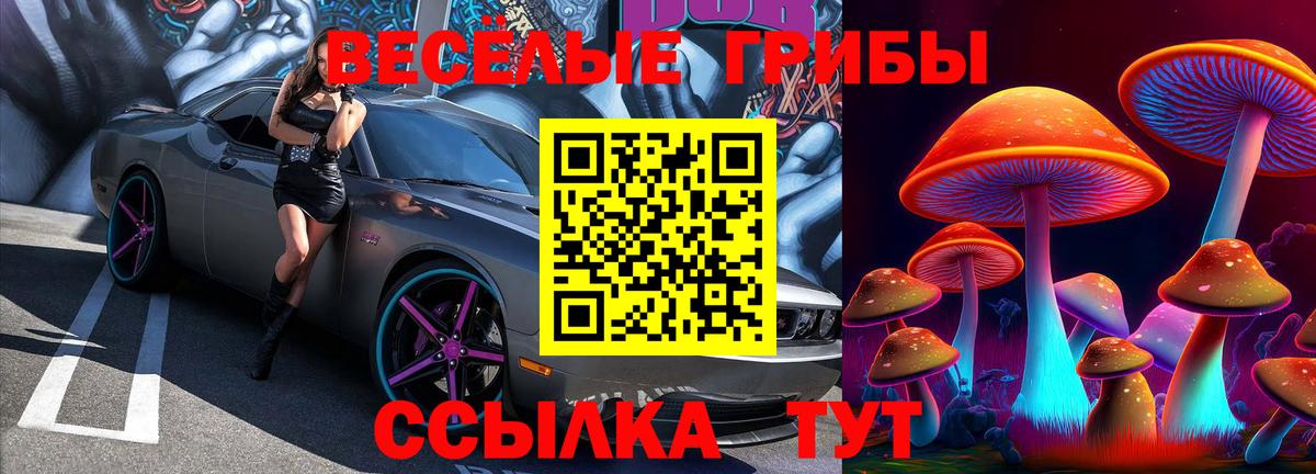 Галлюциногенные грибы прущие грибы Дмитров
