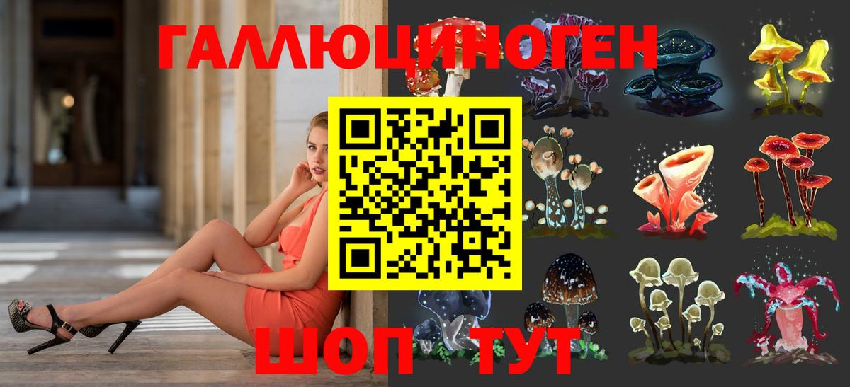 Галлюциногенные грибы мухоморы  что такое   Дмитров  Вход с VPN 